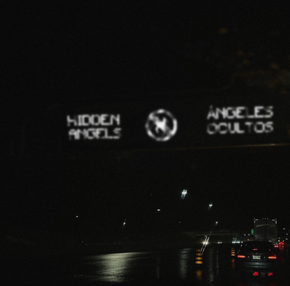 HIDDEN ANGELS WALLPAPER SET